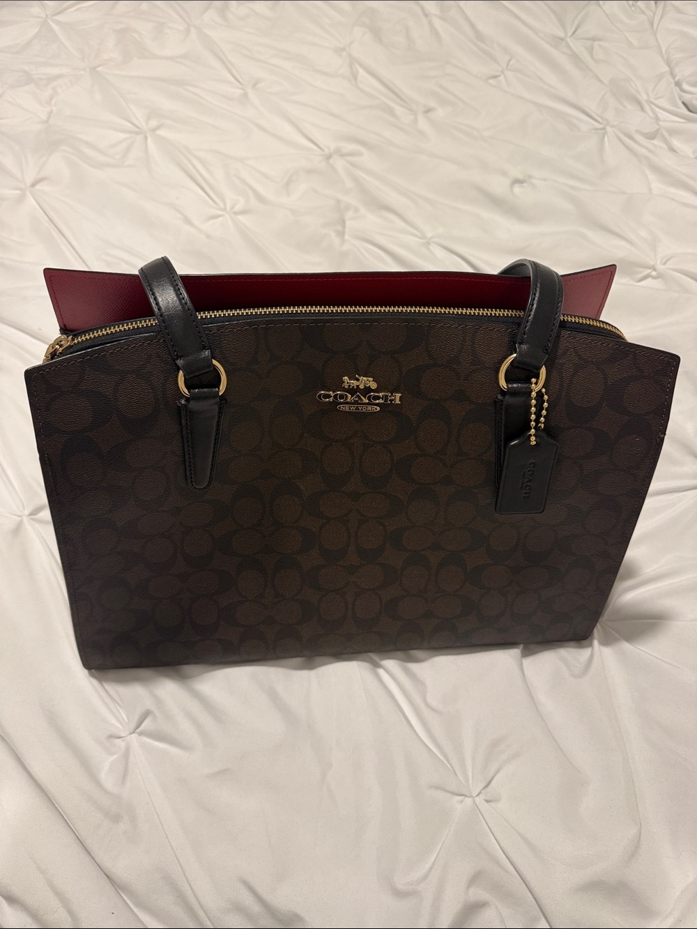 Coach Signature Canvas Tote Bag in Brown with Red Interior